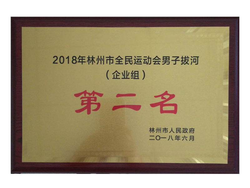 林州市全民 運動會企業(yè)組男子拔河第二名